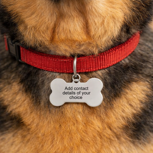 Coloured bone shape dog tag