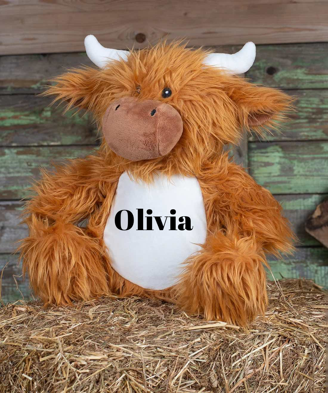 Personalised Soft Toy